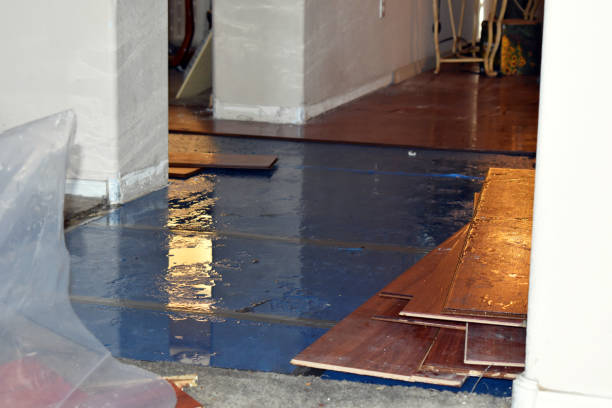 Professional Water Extraction technician working in Lee, IL